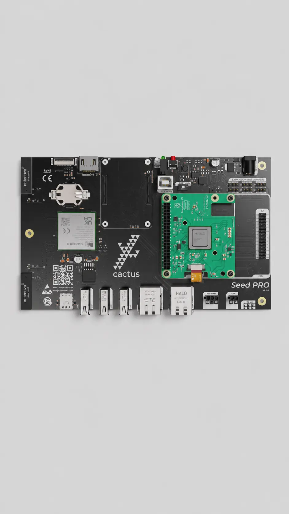 Cactus IoT — SeedPro AI — imagen 2